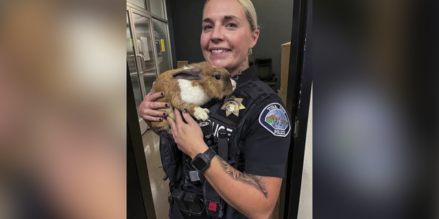 "Most enjoy his company, while some are still getting used to the idea of a rabbit being inside a police department," the police department's April 5 Facebook post said.