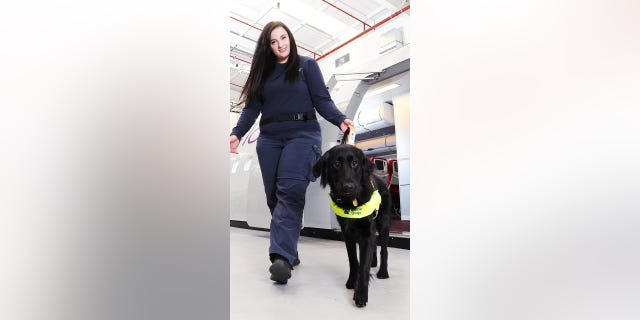 Sight loss guide dog