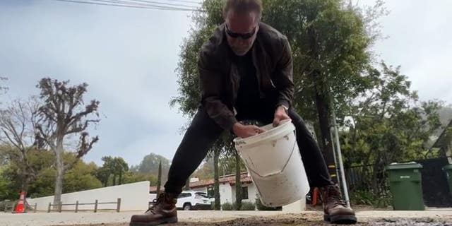 Arnold Schwarzenegger fills in pothole