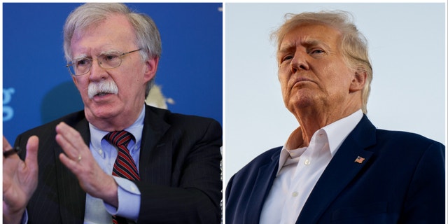 Former national security adviser John Bolton says former President Donald Trump is a "cancer on the Republican Party."