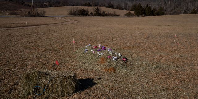 The first green burial in Serenity Ridge, an eco-friendly cemetery and nature reserve, is seen in Windsor Mill, Maryland, on Feb. 10, 2023. Alternative burial practices such as green burials and human composting have been gaining more interest across the nation.