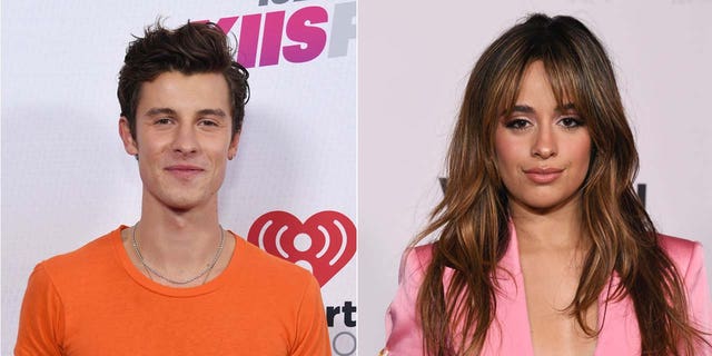 Shawn Mendes and Camila Cabello were spotted sharing a kiss on the first night of the Coachella Music Festival.