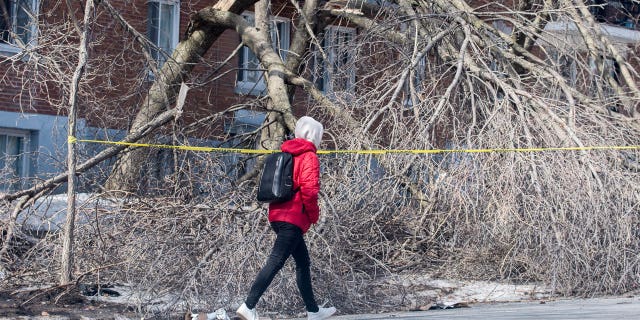 Hundreds of thousands of Canadians have been left without power in the wake of a severe ice storm.