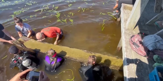 North Carolina American Indian Heritage Commission posted video showing a group of divers in Waccamaw removing the canoe, which appeared to be submerged under a wooden deck.