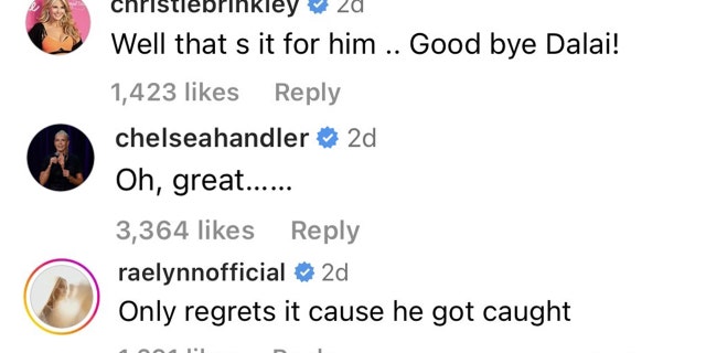 Several celebrities, including Christie Brinkley, Chelsea Handler and RaeLynn responded to People Magazine's post about the Dalai Lama controversy.