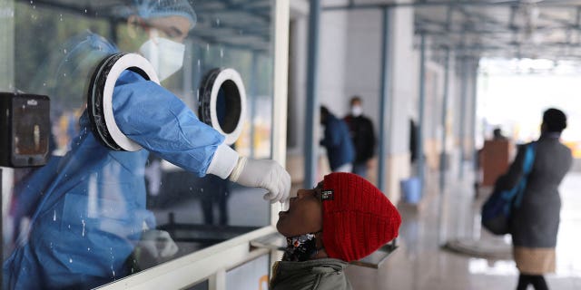 India pide a otros países que aumenten las pruebas de COVID a medida que aumentan los casos 4 Un trabajador de la salud recolecta una muestra de hisopo de prueba de un niño en un centro de pruebas dentro de un hospital en Nueva Delhi, India, el 14 de enero de 2022. India está viendo un aumento en los casos diarios de COVID-19.