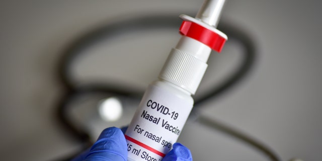 A new study has shown promising results for a nasal COVID-19 vaccine in Germany, according to researchers at the Institute of Virology at Freie Universität Berlin. (A fictional prototype is pictured.)