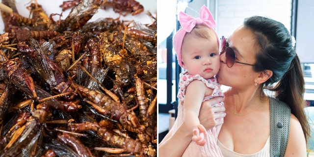 split of Tiffany Leigh and baby and crickets