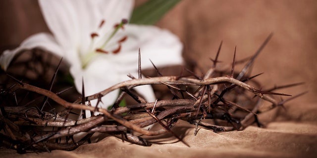 easter crown of thorns