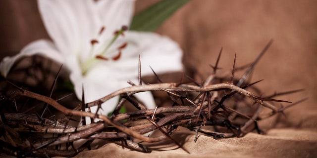 Easter crown of thorns