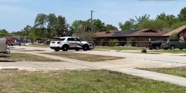 The dog that Eileen and Robert Flaherty were walking Sunday during the deadly crash was not injured, deputies say.