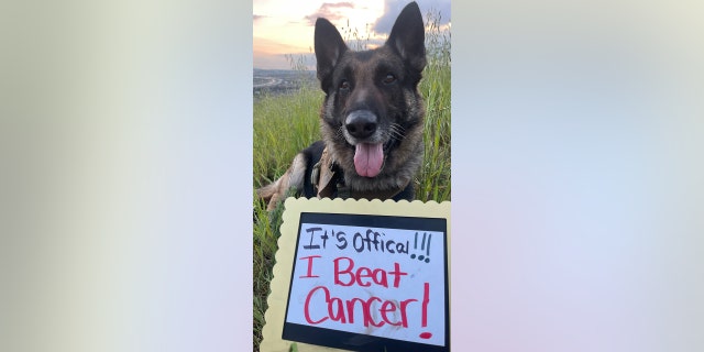 cooper beat cancer sign