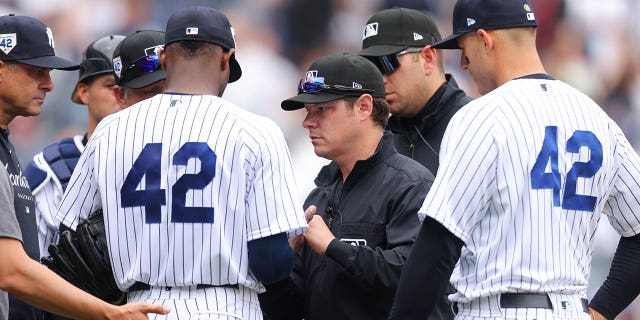Umpire DJ Reyburn, #17, checks Domingo German of the New York Yankees in the fourth inning during a game against the Minnesota Twins at Yankee Stadium on April 15, 2023, in Bronx, New York. All players are wearing the #42 in honor of Jackie Robinson Day.