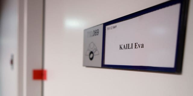 Embattled former European Parliament Vice President Eva Kaili has been placed under house arrest.