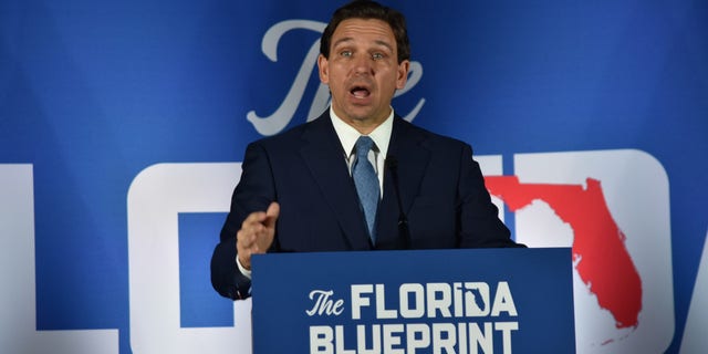 Gov. Ron DeSantis speaks during "The Florida Blueprint" event on Long Island, New York, on April 1, 2023.