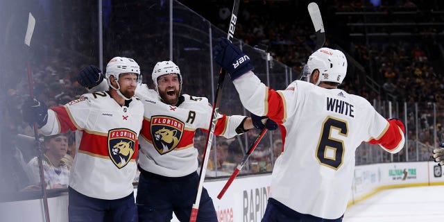 Florida Panthers celebrate goal
