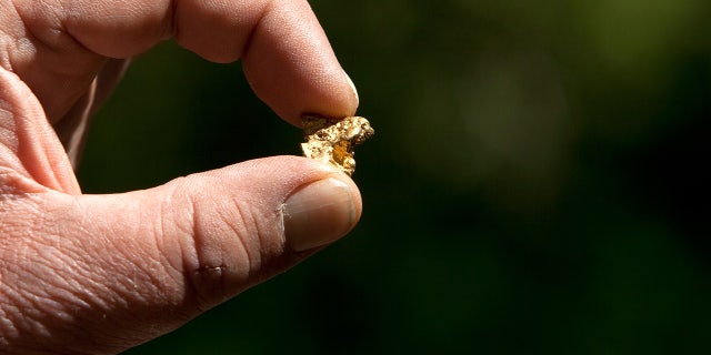 gold nugget