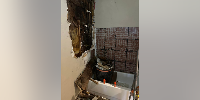 Two Grandville residents were attacked by the bees, while two others were trapped in the house because of the swarms.