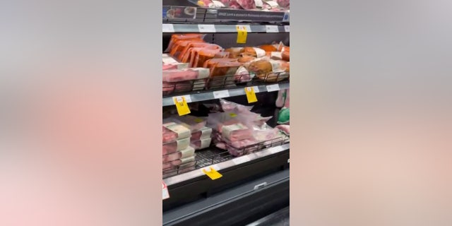 The food technologist from Melbourne, Australia, told SWNS, "I saw the possum running all along the meat section, and I thought, 'Oh my God, yuck' — I was actually quite scared."