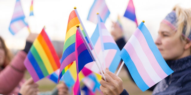 lgbtq and transgender flags held by demonstrators