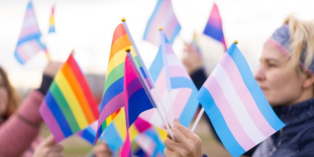 lgbtq and transgender flags held by demonstrators