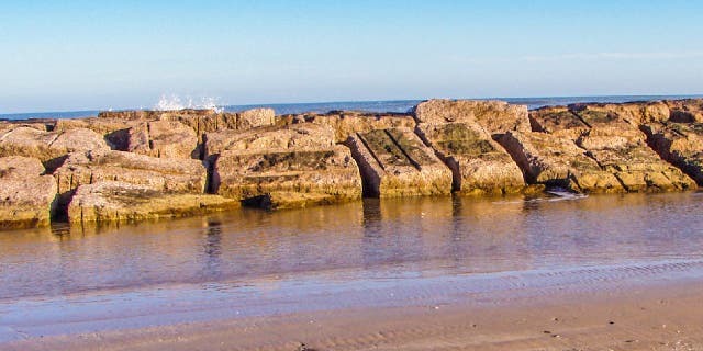 Matagorda Bay is an estuary on the Texas coast, located northeast of Corpus Christi between Calhoun County and Matagorda County. The bay is separated from the Gulf of Mexico by Matagorda Island. Sea turtles travel to the area to lay eggs.
