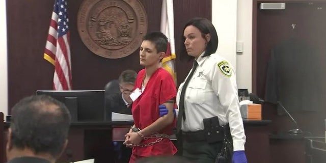 Michelle Kolts in a Tampa courtroom. She pleaded guilty to making 24 pipe bombs to avoid jail time to instead receive mental health treatment. 