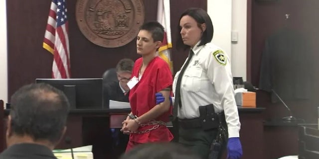 Michelle Kolts in a Tampa courtroom. She pleaded guilty to making 24 pipe bombs to avoid jail time to instead receive mental health treatment. 