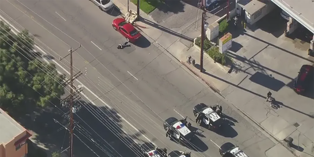 LAPD caught up to the Trader Joe's parking lot shooting suspect after a brief pursuit. 