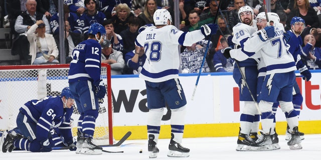 Lightning celebrates goal