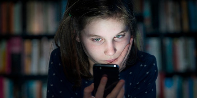 TN teacher social media
