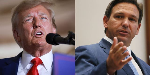 Donald Trump and Ron DeSantis