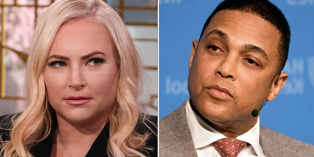 Former host on "The View" Meghan McCain went after CNN anchor Don Lemon after he was accused of engaging in threatening behavior against his former colleague, ABC News correspondent Kyra Phillips.