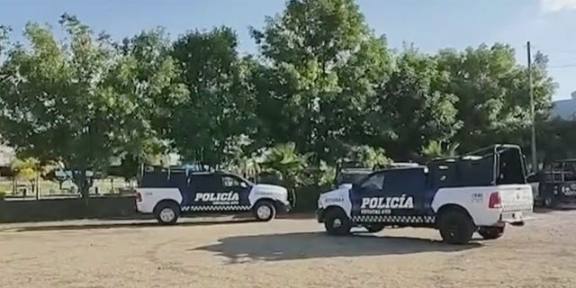 Mexican officials said a band of gunmen invaded the La Palma resort in the Cortazar municipality and shot vacationers at the swimming pool.