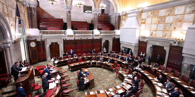 New York Legislature