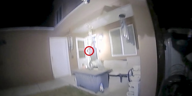 Bodycam Footage Shows Police Fatally Shoot Armed Homeowner After ...