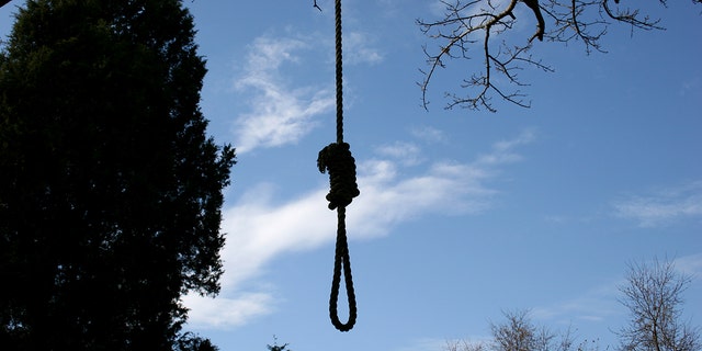 noose hanging from tree
