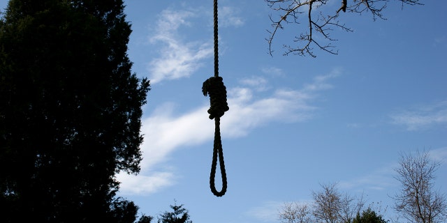 noose hanging from tree