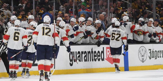 Florida panthers greet on bench