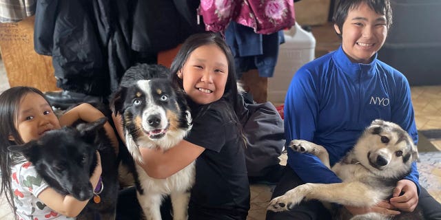 Australian shepherd Nanuq, middle, returned to its home in Gambell, Alaska, on April 6, 2023. Nanuq disappeared for a month and walked on the Bering Sea ice 150 miles to Wales, Alaska.