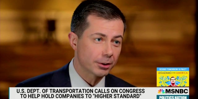 Transportation Secretary Pete Buttigieg appeared on MSNBCs "PoliticsNation" on Saturday.