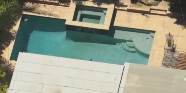 backyard swimming pool in Porter Ranch