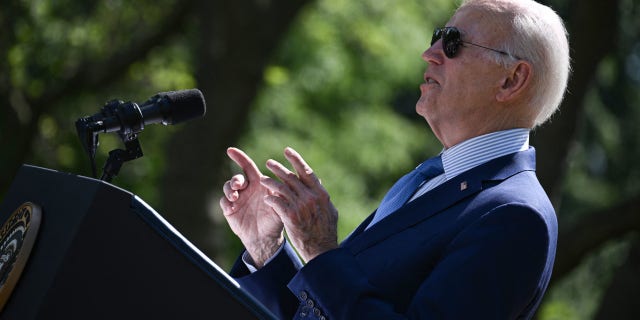 US President Joe Biden