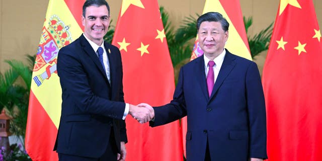 Chinese President Xi Jinping meets with Spanish Prime Minister Pedro Sanchez in Bali, Indonesia, Nov. 15, 2022. 