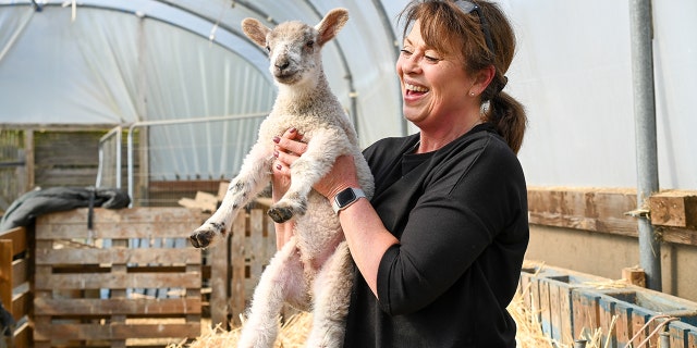 Dawson said she doesn't normally take in rescue animals — but this situation was different.