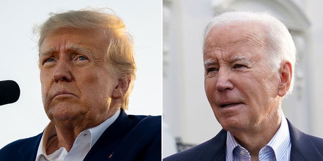 Trump and Biden split image