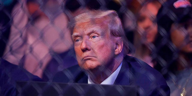 Former U.S. President Donald Trump attends UFC 287 at Kaseya Center on April 08, 2023, in Miami, Florida.