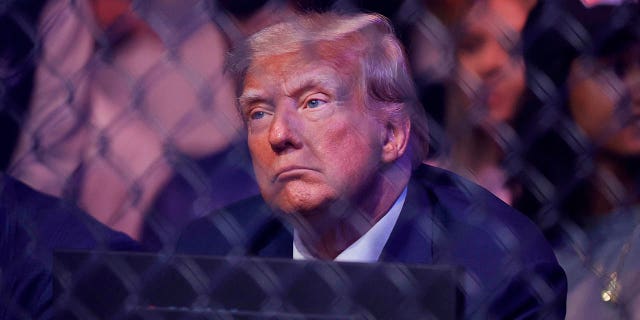 Former President Donald Trump attended UFC 287 on Saturday night and received a shutout from UFC star Jorge Masvidal.