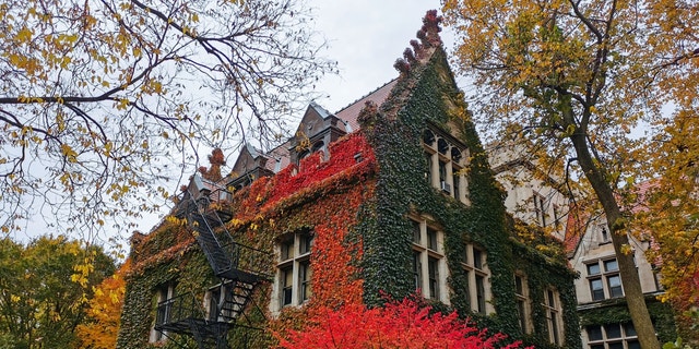 A building covered with autumn leaves at the University of Chicago in Chicago, United States, on October 18, 2022.