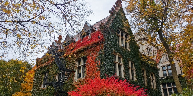 A building covered with autumn leaves at the University of Chicago in Chicago, United States, on October 18, 2022.